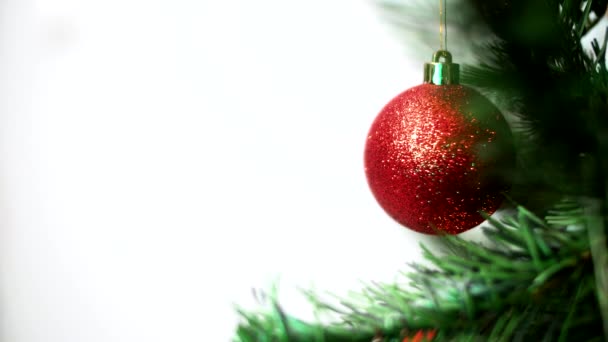 Ветка Елки Украшена Красным Шаром Белом Фоне Размещения Новогодних Поздравлений — стоковое видео