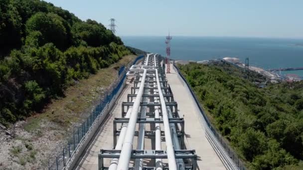 白色的石油管道和天然气管道横跨森林 与大海相望 — 图库视频影像