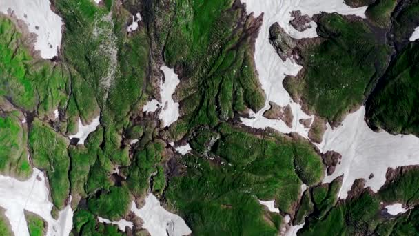 Belle Texture Muschi Naturali Seracchi Neve Nei Prati Alpini — Video Stock