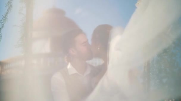 Gyönyörű Friss Házasok Csók Közben Hinta Egy Görög Antik Helyen — Stock videók