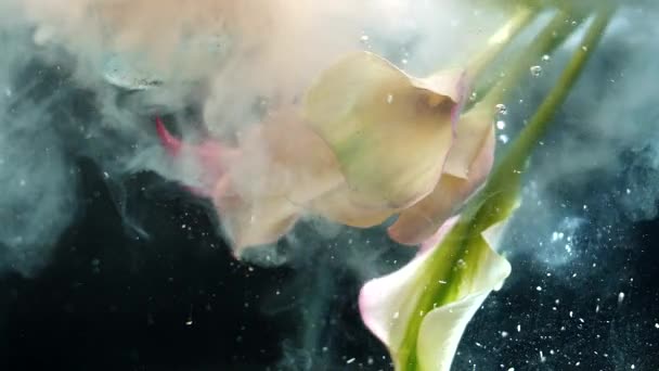 Piękne Delikatne Pąki Wiosennych Kwiatów Zanurzone Pod Wodą Atramentem Delikatnych — Wideo stockowe