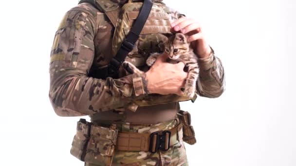 Hombre Camuflaje Combate Chaleco Antibalas Sostiene Pequeño Gatito Como Signo — Vídeos de Stock