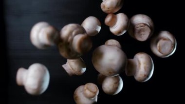 Beyaz, lezzetli mantar şampiyonları yukarı uçar ve karanlık bir arka planda süper yavaş çekimde havada asılı kalırlar. Makro