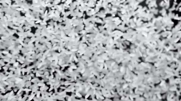 Λευκά Σωματίδια Ρυζιού Πετούν Και Κρέμονται Στον Αέρα Μαύρο Φόντο — Αρχείο Βίντεο