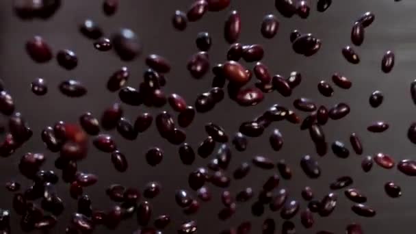 黒を背景に素晴らしいおいしい豆 超スローモーション マクロ — ストック動画
