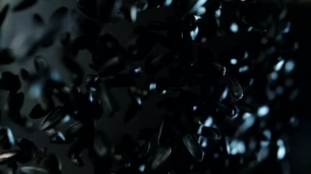 Una Manciata Semi Girasole Una Conchiglia Nera Volano Rallentatore Macro — Video Stock