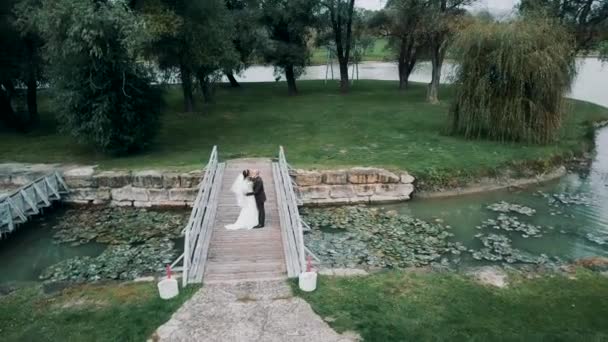 Newlyweds Stand Embrace Beautiful Bridge River Beautiful Nature Park Quadcopter — Stock Video