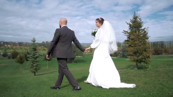 Recém Casados Caminhando Por Uma Bela Localização Natural Mãos Dadas — Vídeo de Stock