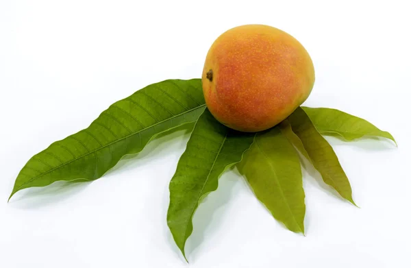 Mango Gyümölcs Sárga Elszigetelt Fehér Háttér Felülnézet Egészséges Étel Koncepció — Stock Fotó