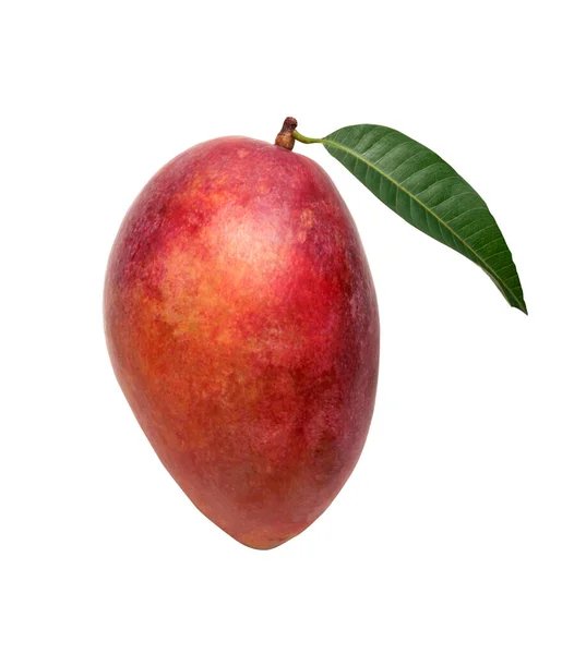 Rote Mangofrucht Isoliert Auf Weißem Hintergrund Draufsicht Gesundes Ernährungskonzept — Stockfoto