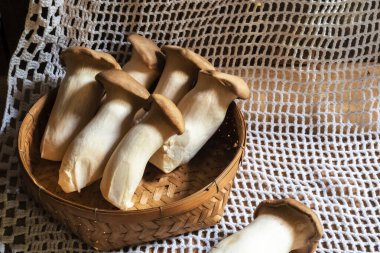 Kral istiridye mantarı ya da ahşap arka planda erygii yakın plan, fotokopi alanı, sağlıklı gıda konsepti.