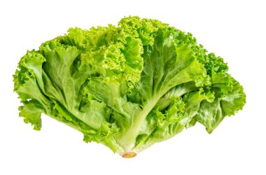 Beyaz arka planda izole edilmiş marul. Yakın plan, üst görüş, sağlıklı gıda kavramı..