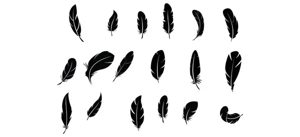 大套鸟类羽毛的设计 蓬松的天鹅 松软的鸟毛套 Pen图标设计 一套鸟类羽毛设计 — 图库矢量图片