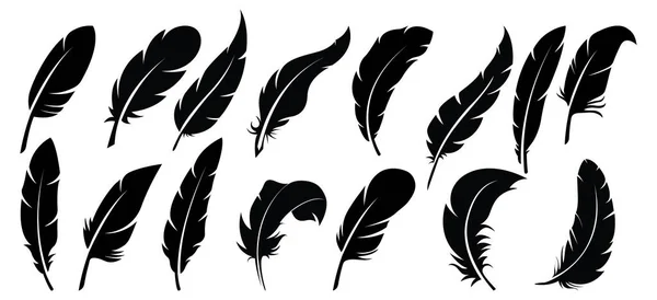 Set Iconos Retro Plumas Plumaje Suave Pájaro Esponjoso Plumas Diseño — Vector de stock