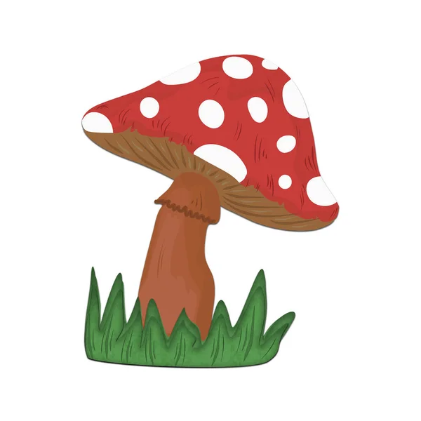 Fotografia Agárica Mosca Cogumelos Venenosos Cogumelo Perigoso Desenho Animado — Fotografia de Stock