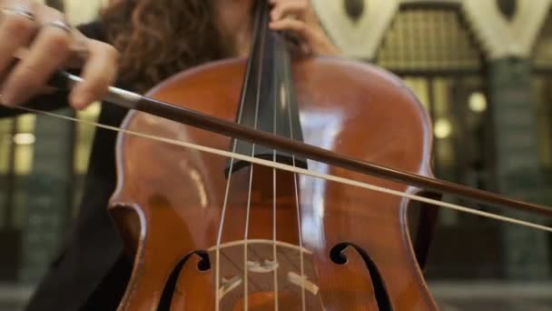 Hands of a musician with a bow playing the double bass violoncello. Woman music — 图库视频影像