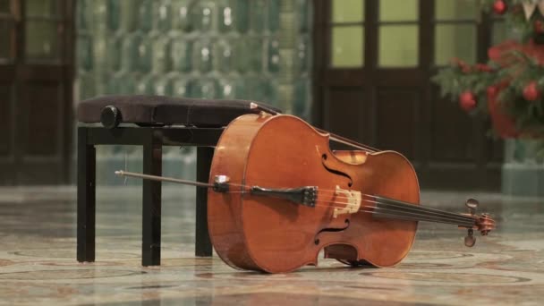 Woman walking with a double bass or violoncello. Orchestra. Music woman. Art. — Stok video