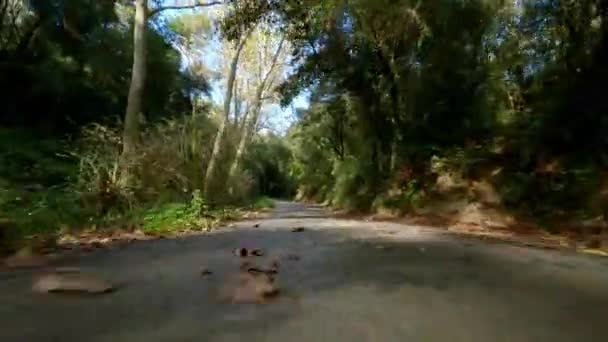 主观道路POV 4k 。公路上的滑板、自行车、摩托车、森林木材 — 图库视频影像
