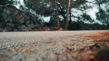 Uzun tahta, yokuş aşağı, hızlı yol. Ormanda yokuş aşağı. Kaykay sporu