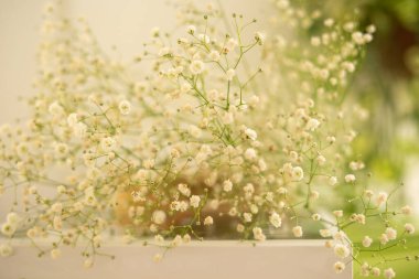 Kitabın üzerindeki çigila çiçekleri.