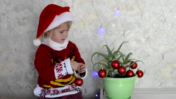 白人の子供は自宅で赤いおもちゃのボールとアロエベラ植物からクリスマスツリーを飾る、幸せな子供はニットセーターとサンタクラスの帽子、陽気なクリスマスとお祝いの気分を身に着けています — ストック動画