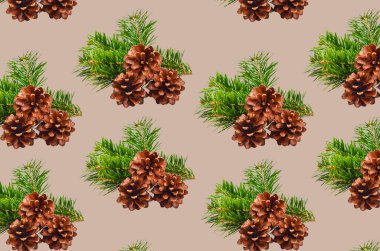 Noel kompozisyonu köknar ağacı dalı ve çam kozalağı tasarım için izole edilmiş.