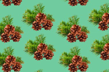 Noel kompozisyonu köknar ağacı dalı ve çam kozalağı tasarım için izole edilmiş..