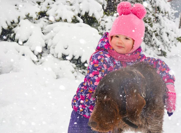 Niño caucásico en ropa de invierno jugando al aire libre con perro drathaar —  Fotos de Stock