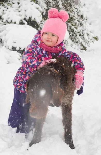 Kavkazské dítě v zimním oblečení hraje venku se psem drathaar — Stock fotografie