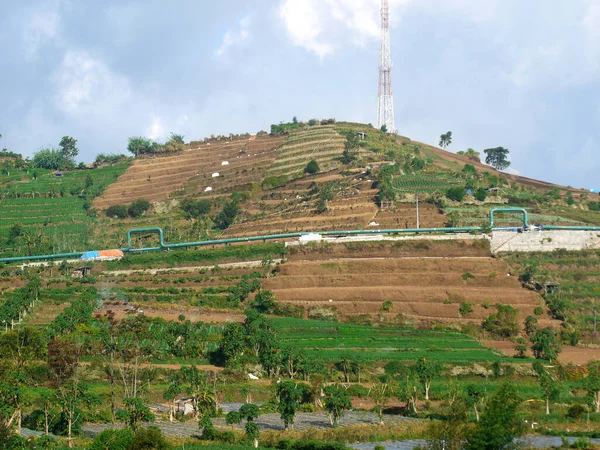 Die Landschaft Auf Dem Dieng Plateau Zentraljava Mit Seinen Gemüseplantagen — Stockfoto