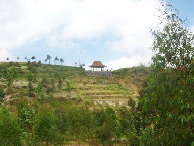   Merkez Java, Endonezya 'daki Dieng Platosu' ndaki bir tepenin manzarası                             