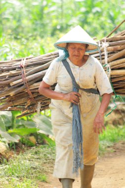 Sırtında kütükler taşıyan bir kadın yalnız yürüyor.