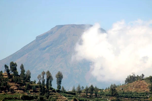 Vue Sur Colline Avec Arrière Plan Mont Sindoro Wonosobo Java — Photo