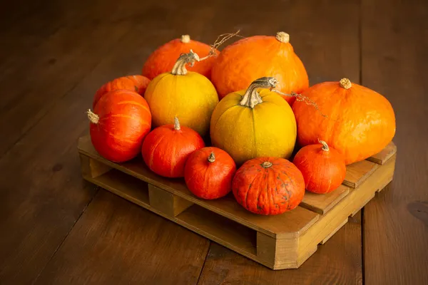 Calabazas Una Plataforma Sobre Fondo Madera Marrón Horizontal —  Fotos de Stock