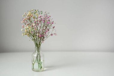 Cam bir kavanozda küçük bir buket renkli çingene.