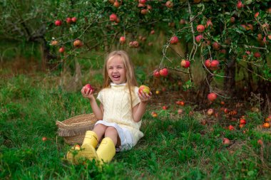 Sarı kazaklı ve sarı çizmeli beyaz elbiseli tatlı bir kız güneşli bir yaz gününde elma bahçesinde sulu elmalarla dolu bir sepet. Hasat, çocukluk ve mutluluk kavramı.
