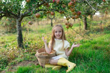 Sarı kazaklı ve sarı çizmeli beyaz elbiseli tatlı bir kız güneşli bir yaz gününde elma bahçesinde sulu elmalarla dolu bir sepet. Hasat, çocukluk ve mutluluk kavramı.