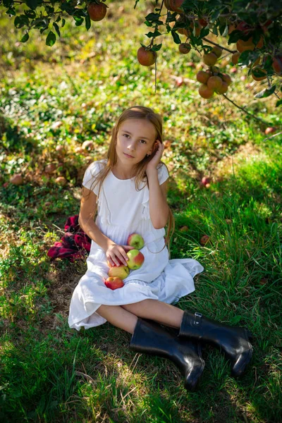 Roztomilá Dívka Bílých Šatech Košíkem Šťavnatých Jablek Jablečném Sadě Slunečného — Stock fotografie