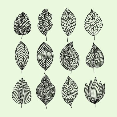 El yapımı bitki yaprakları. Vektör karalama biçimi.
