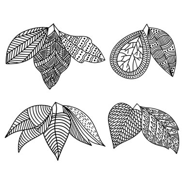 El yapımı bitki yaprakları. Vektör karalama biçimi.