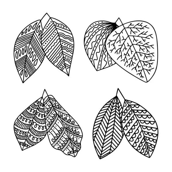 Conjunto Folhas Plantas Desenhadas Mão Estilo Doodle Vetorial — Vetor de Stock