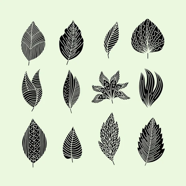 Conjunto Folhas Plantas Desenhadas Mão Estilo Doodle Vetorial — Vetor de Stock