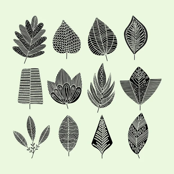 Ein Satz Handgezeichneter Pflanzenblätter Vector Doodle Stil — Stockvektor
