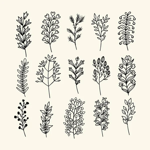 Conjunto Ramas Hojas Plantas Dibujadas Mano Estilo Garabato Vectorial — Vector de stock