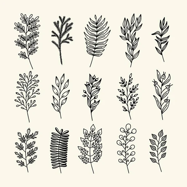 Conjunto Ramas Hojas Plantas Dibujadas Mano Estilo Garabato Vectorial — Archivo Imágenes Vectoriales