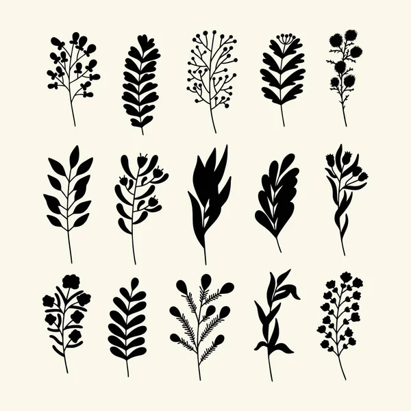 Conjunto Ramas Hojas Plantas Dibujadas Mano Estilo Garabato Vectorial — Archivo Imágenes Vectoriales