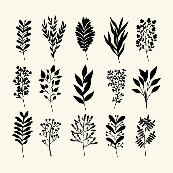 Conjunto Ramas Hojas Plantas Dibujadas Mano Estilo Garabato Vectorial — Vector de stock