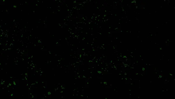 Green sparkled carnival confetti on black background Stockbild