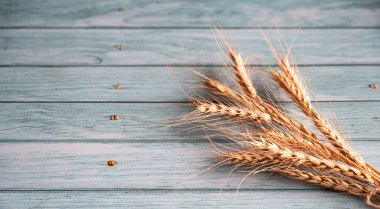 Tahta masadaki buğday kulaklarını kapat.