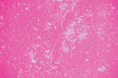 Beyaz gri taş ya da tahta duvar. Grunge 'un geçmişi. Soyut doku.